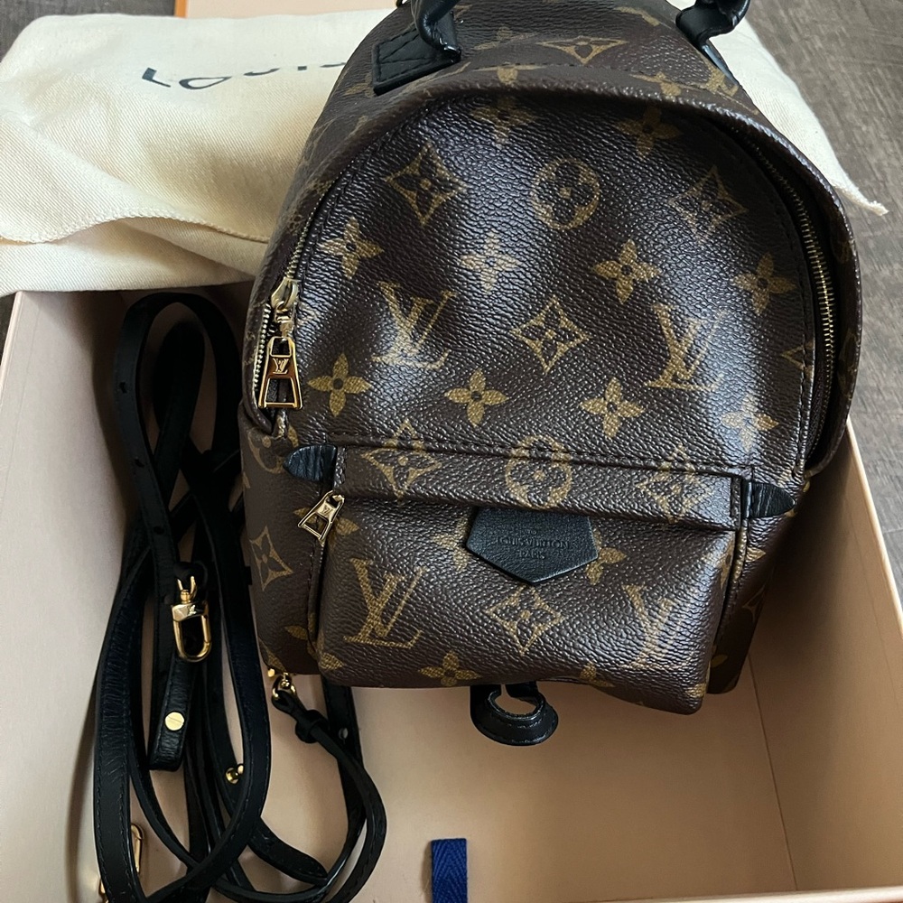 Louis Vuitton Brown Monogram Backpack Palm Springs Mini